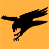 Eagle Dynamics