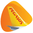 Pegasus Airlines