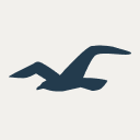 Hollister Co.
