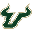 University of South Florida